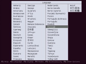 Выбираем язык установщика Ubuntu 10.10
